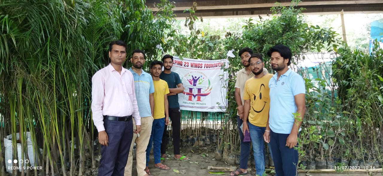 Tree plantation on 15 July 2023