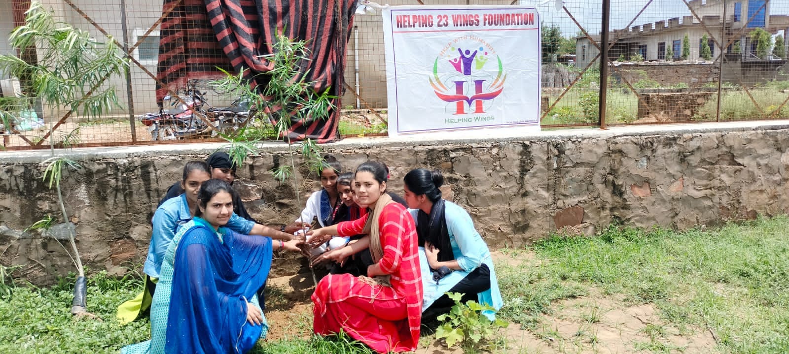 Tree plantation on 17 July 2023